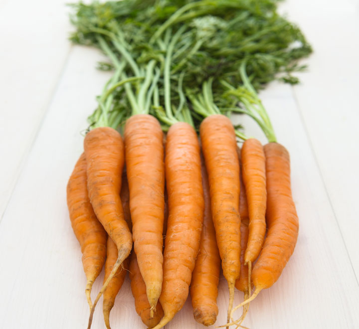 carrots baby food