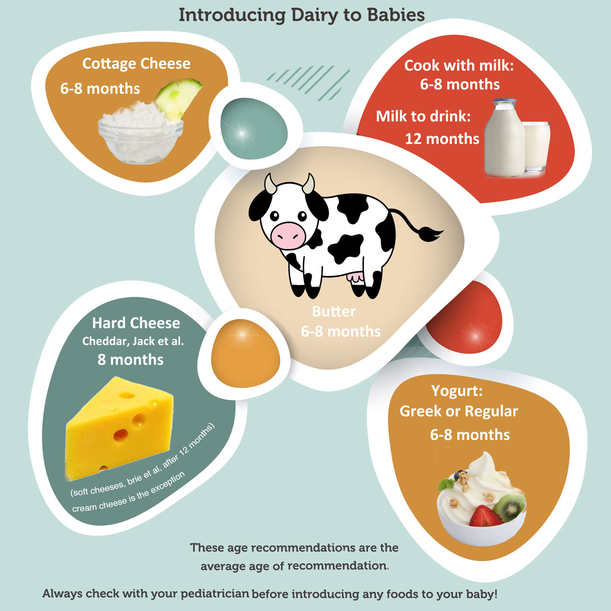 Dairy Infographic When To Introduce Milk And Dairy Products Wholesome Baby Food Guide