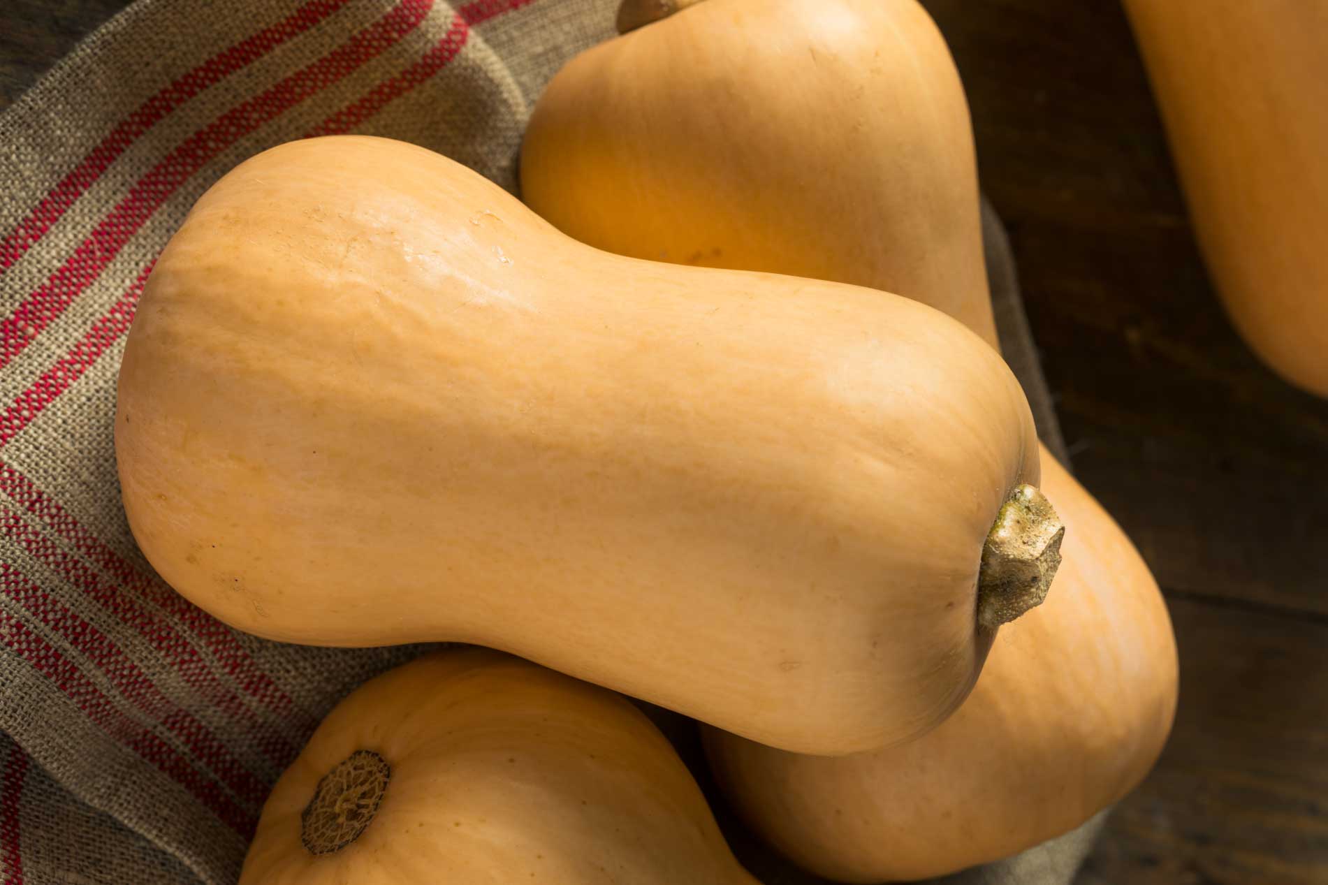 Butternut Acorn Squash In The Slow Cooker The Whole Darn Thing Wholesome Baby Food Guide